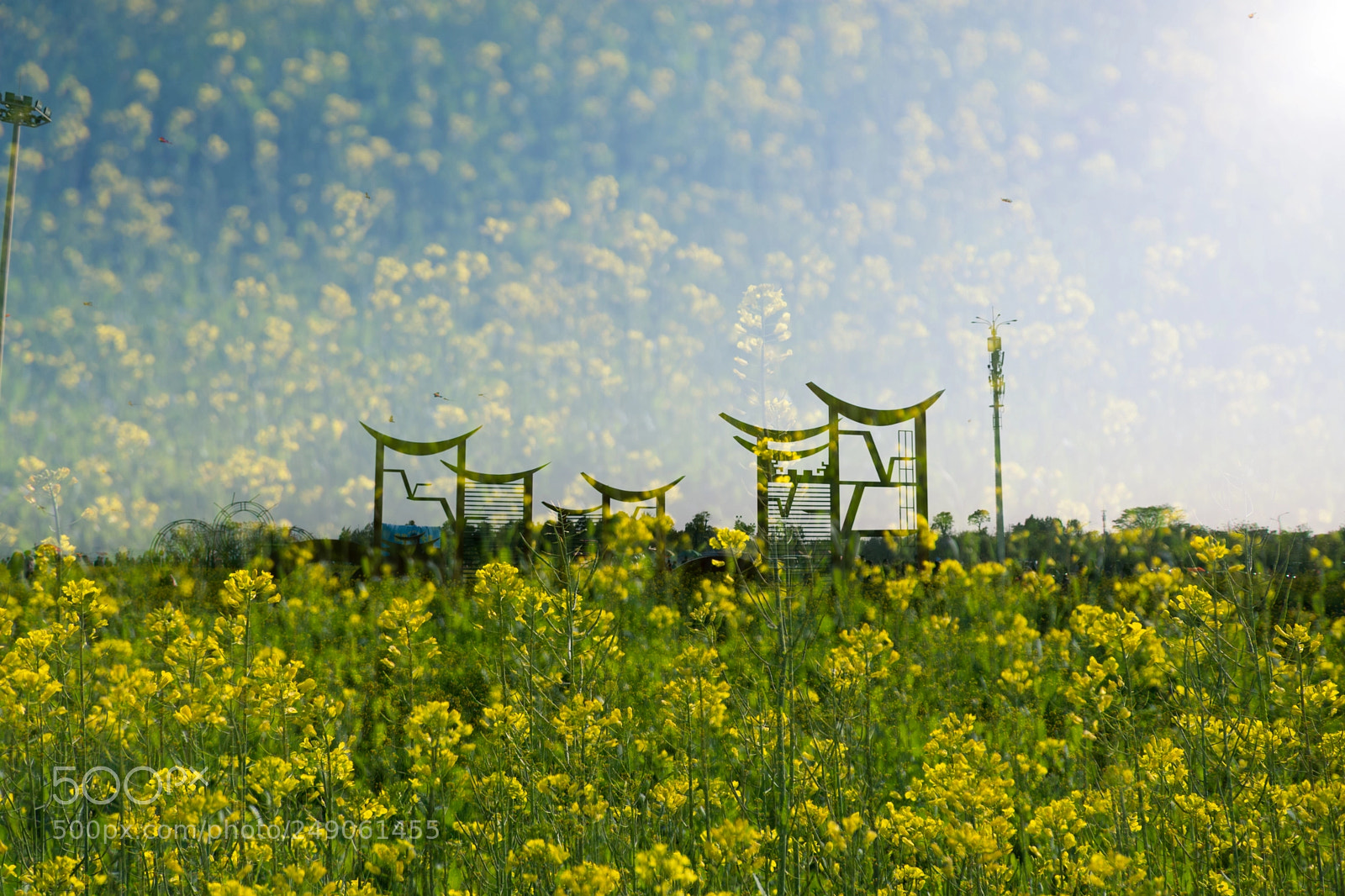 Nikon D7100 sample photo. 不负春光 photography