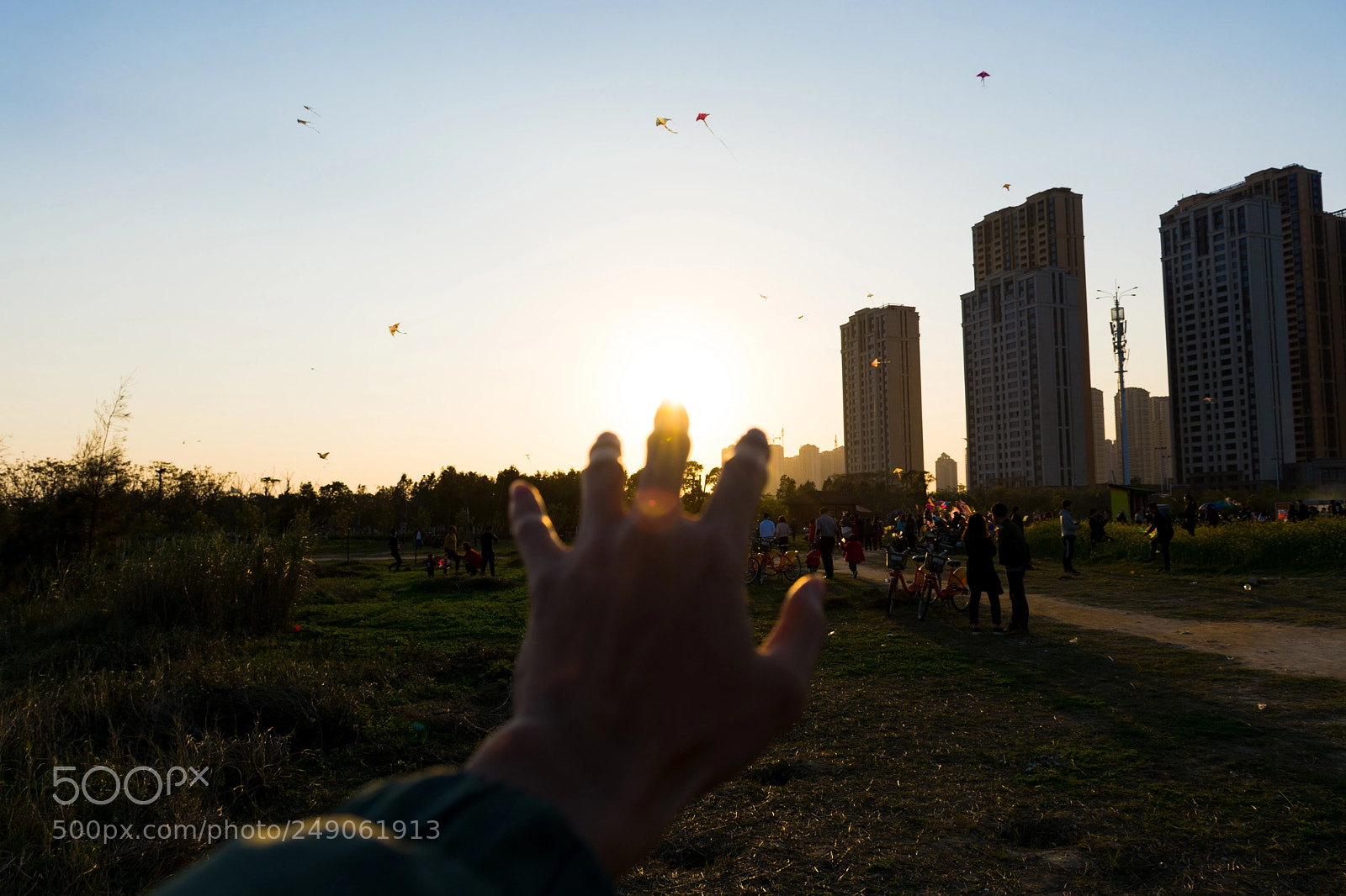 Nikon D7100 sample photo. 指尖上的太阳 photography