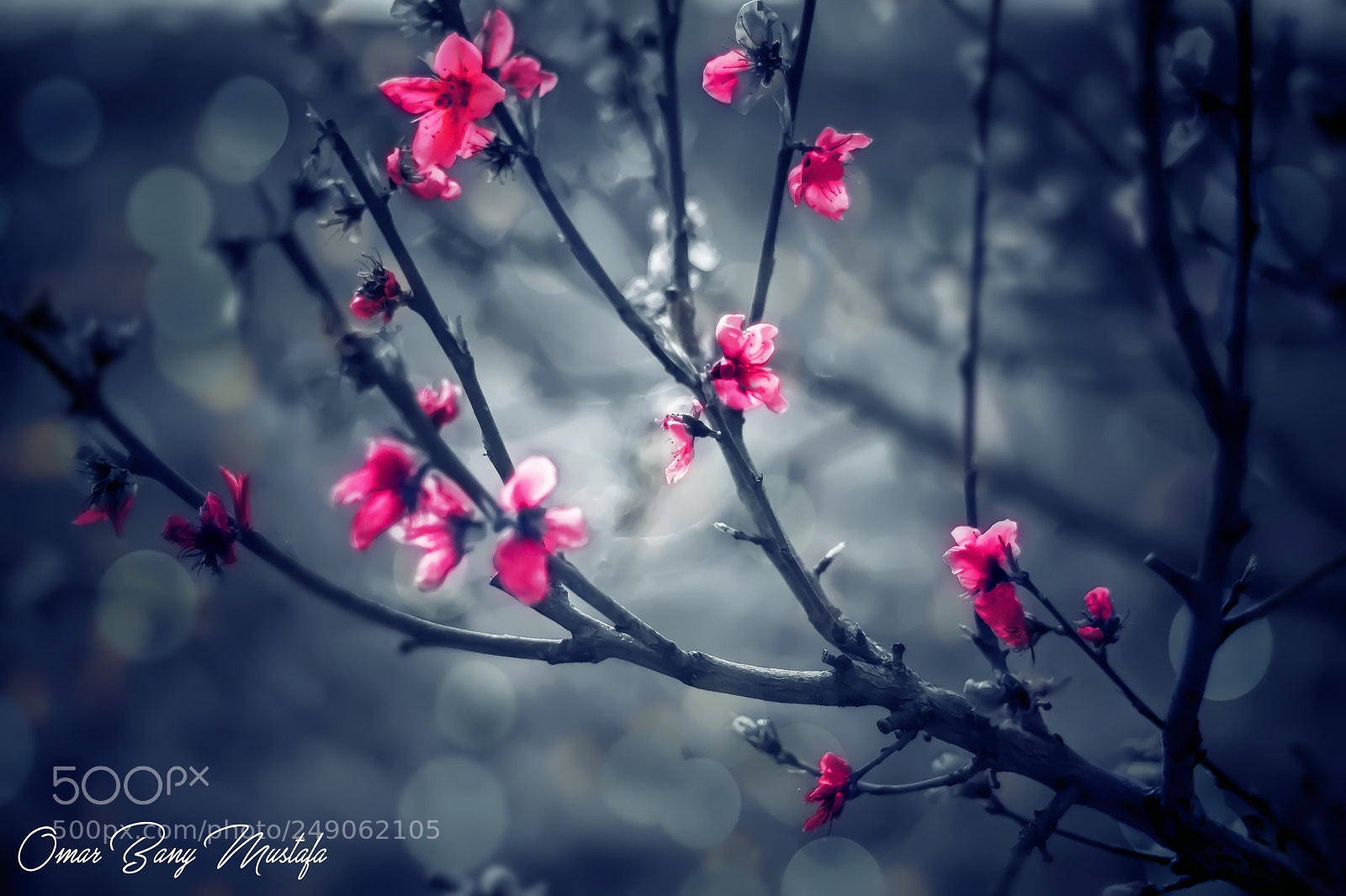 Nikon D7100 sample photo. Untitled photography