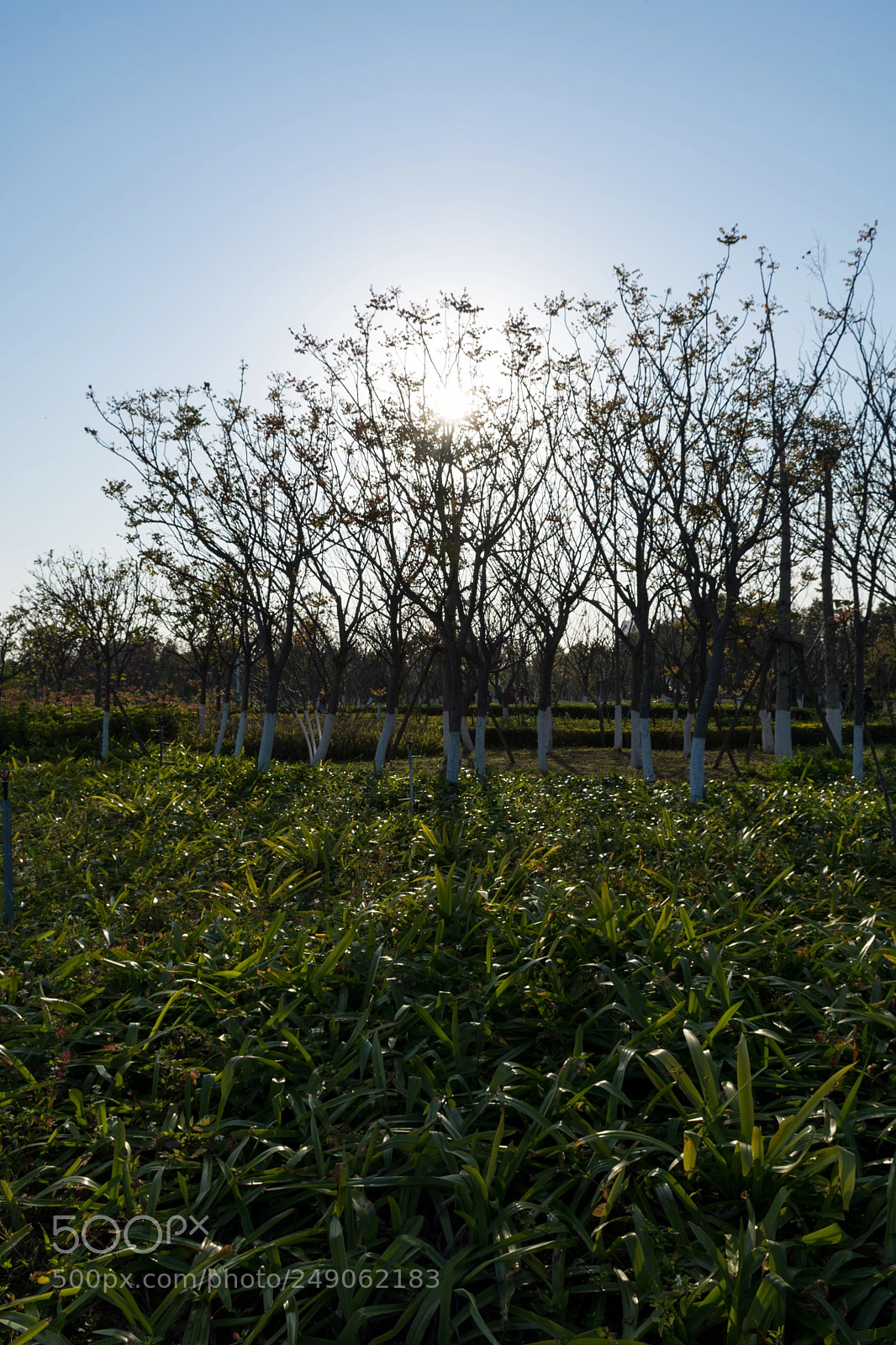 Nikon D7100 sample photo. Untitled photography