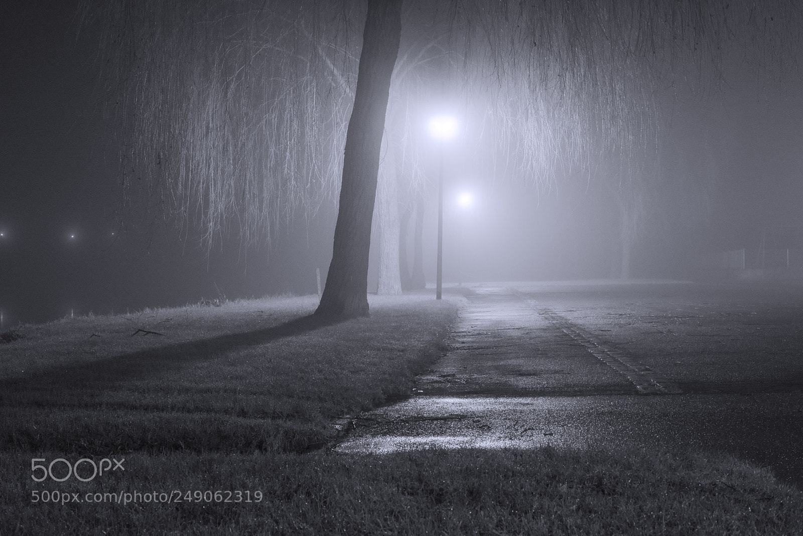 Nikon D810 sample photo. Dark end of the photography
