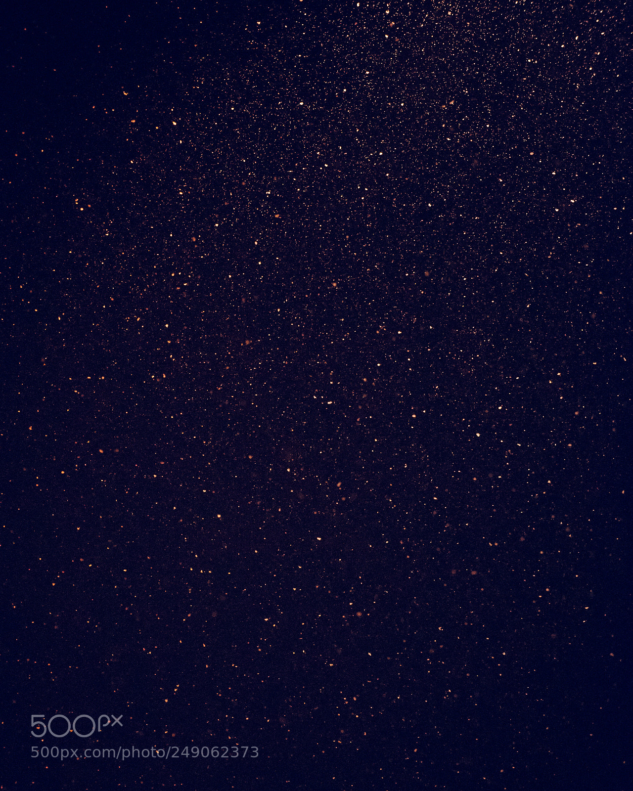 Nikon D600 sample photo. Falling snow photography