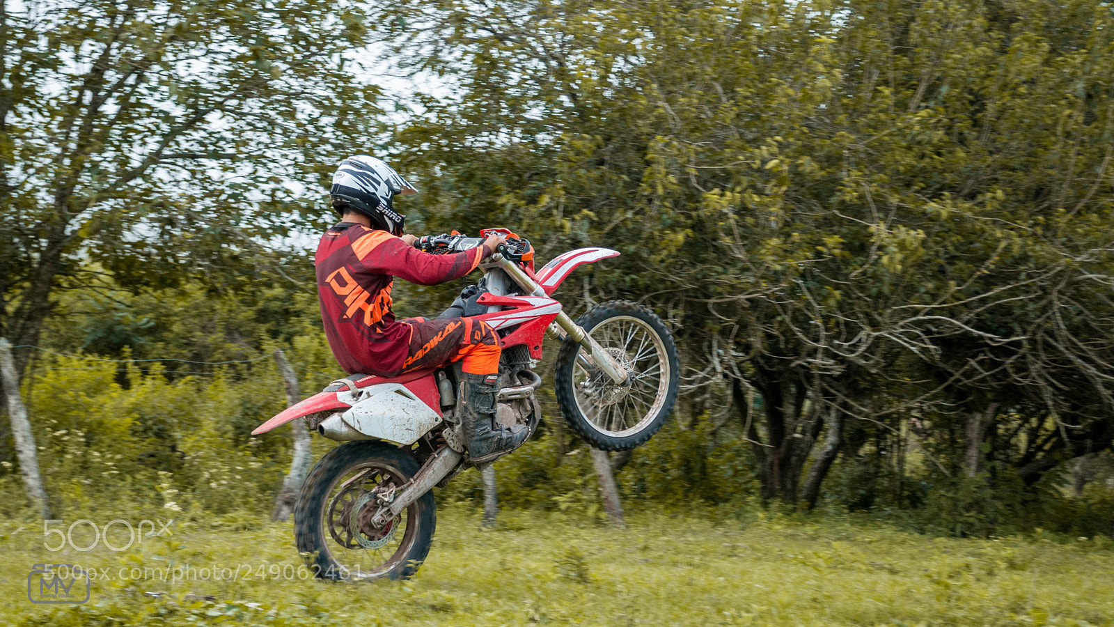 Nikon D80 sample photo. Grf 250 photography