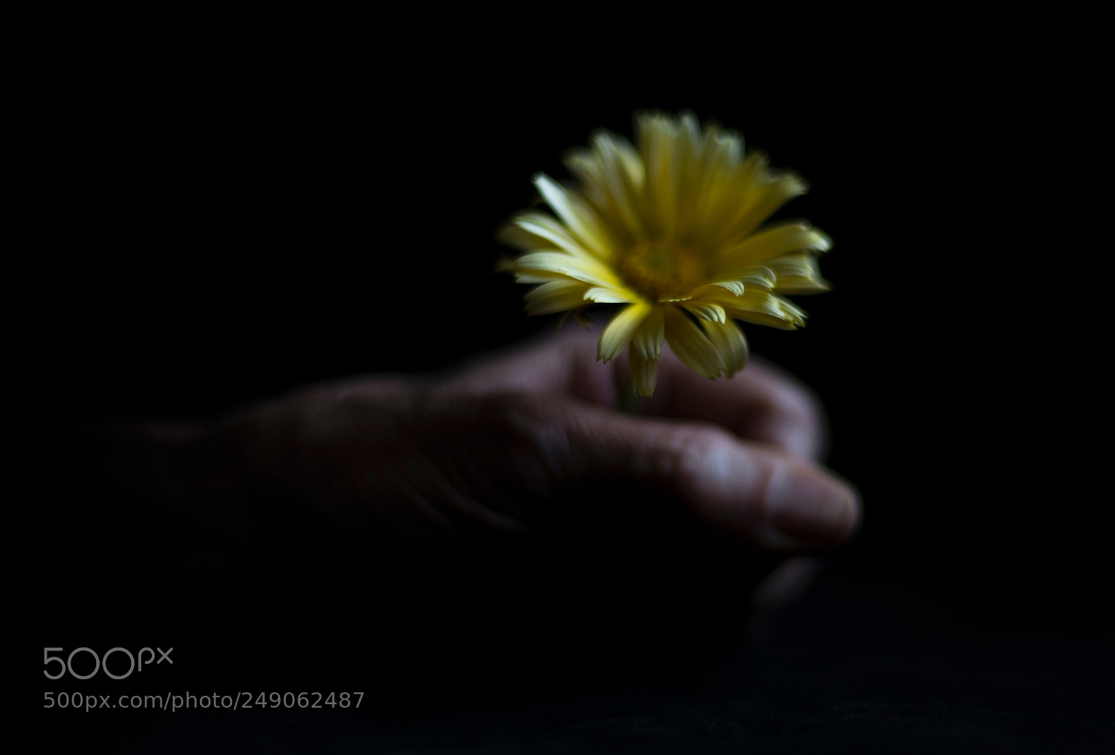 Nikon D600 sample photo. El amor capitalista... photography