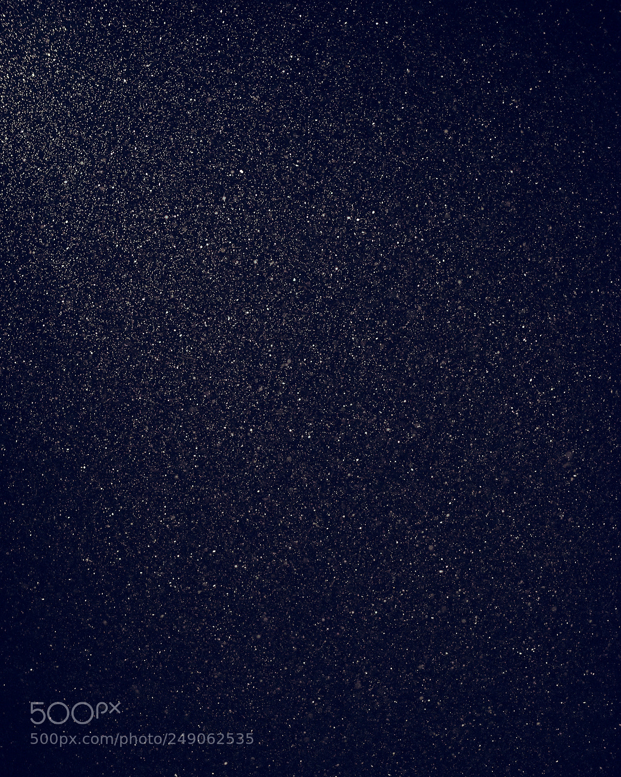 Nikon D600 sample photo. Falling snow photography