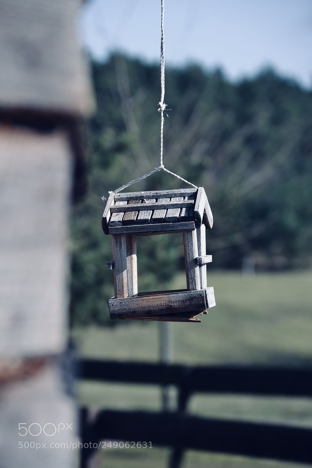 Nikon D3100 sample photo. Birdhouse photography