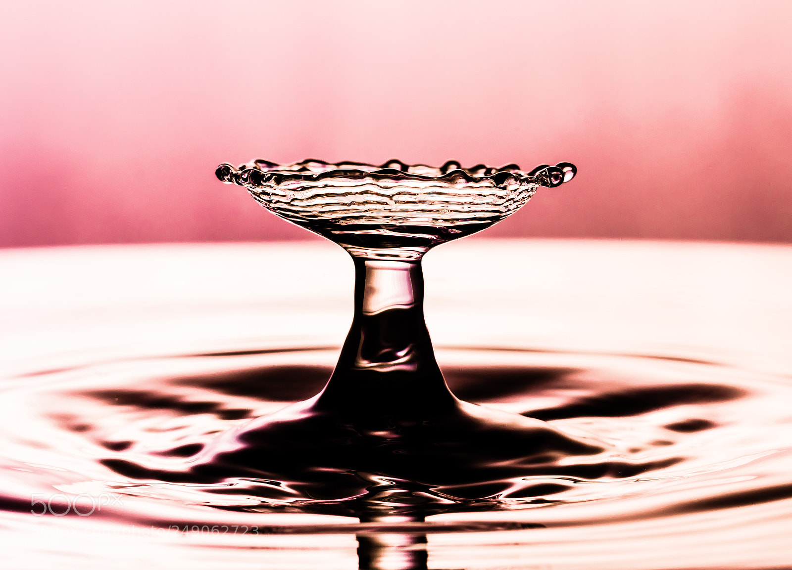Sony a7R III sample photo. Upside down mushroom photography