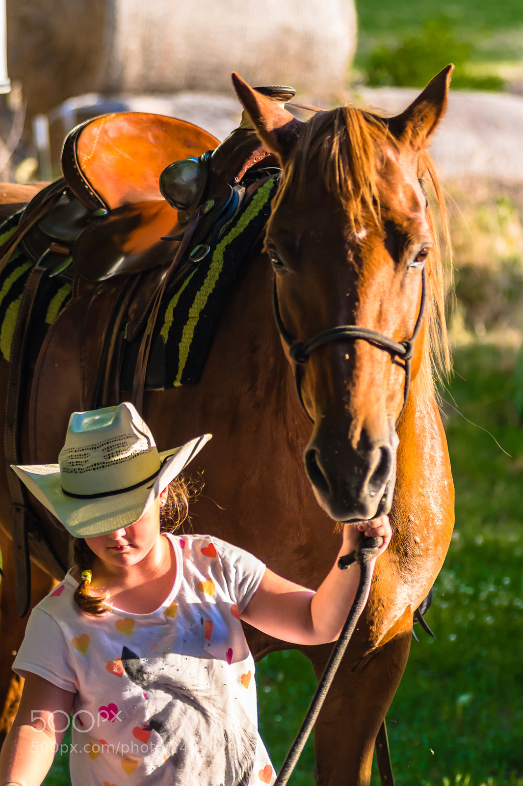 Nikon D7200 sample photo. Besties! photography