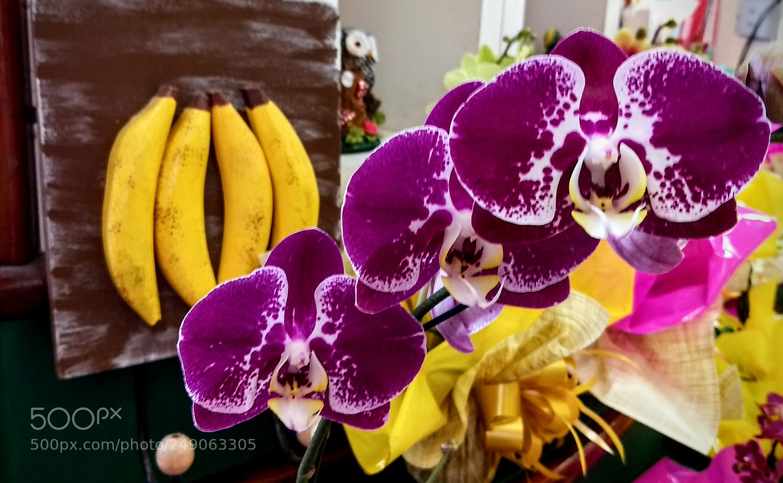 Motorola Moto Z (2) Play sample photo. Shopping photography