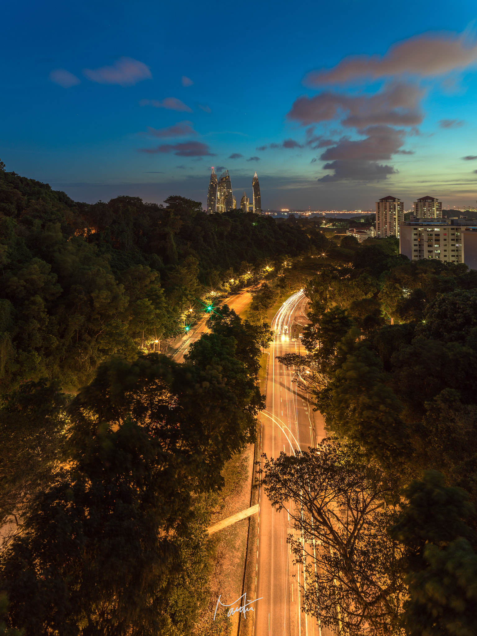 Hasselblad H6D sample photo. The road among forest that leads to the human civilization photography