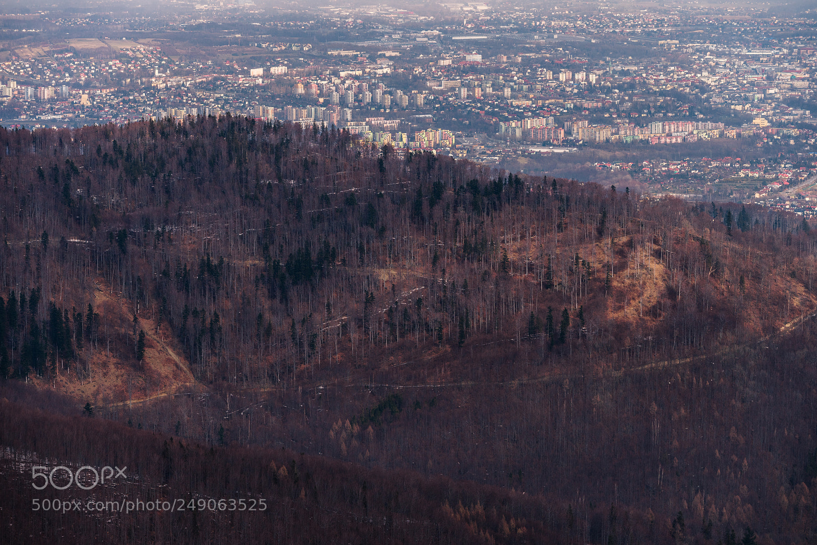 Nikon D810 sample photo. From above photography