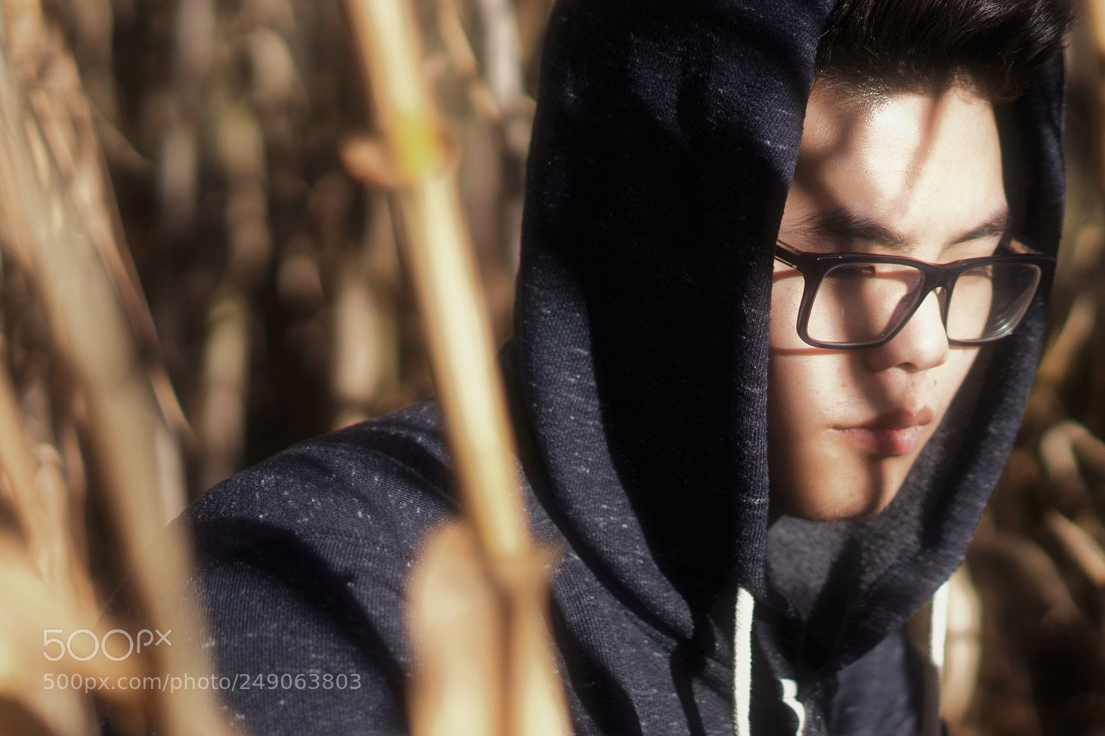 Sony a7 sample photo. 1121.jpg photography