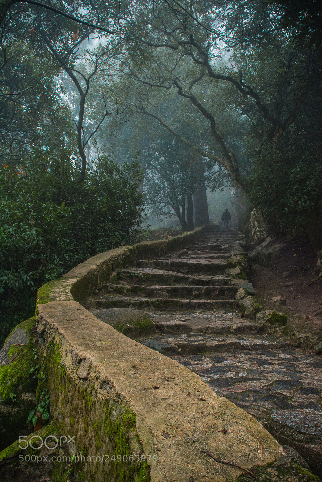 Nikon D5200 sample photo. Lonely traveller photography