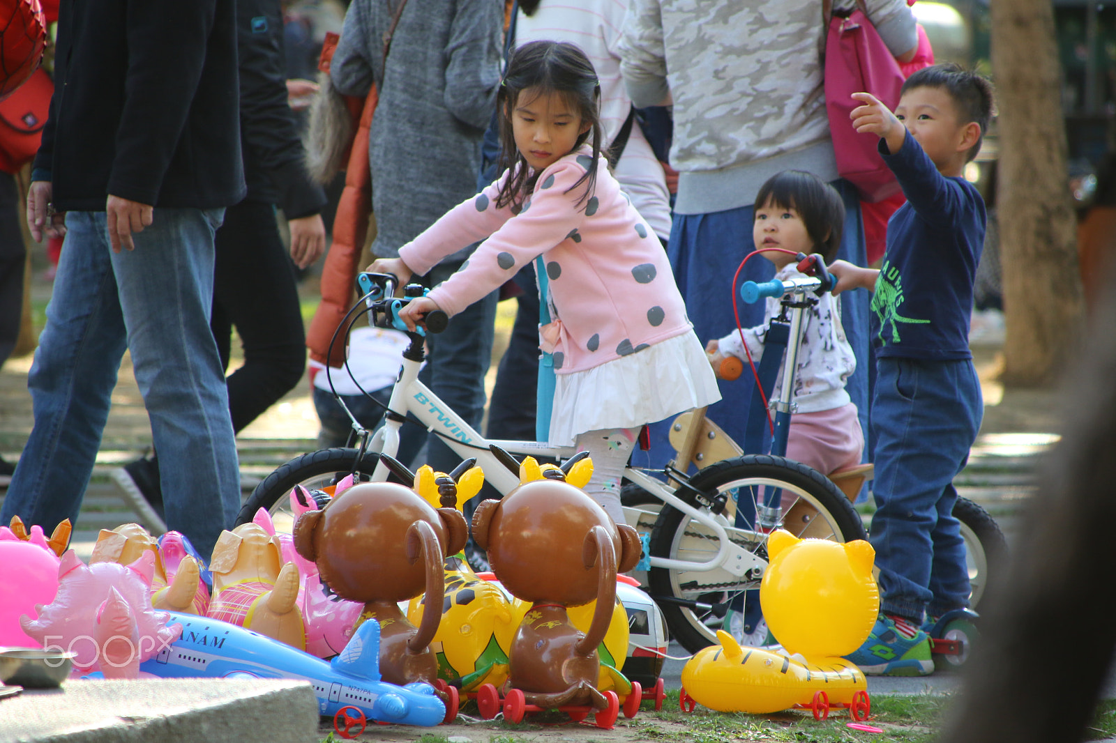 Canon TS-E 90mm F2.8 Tilt-Shift sample photo. 注視 photography