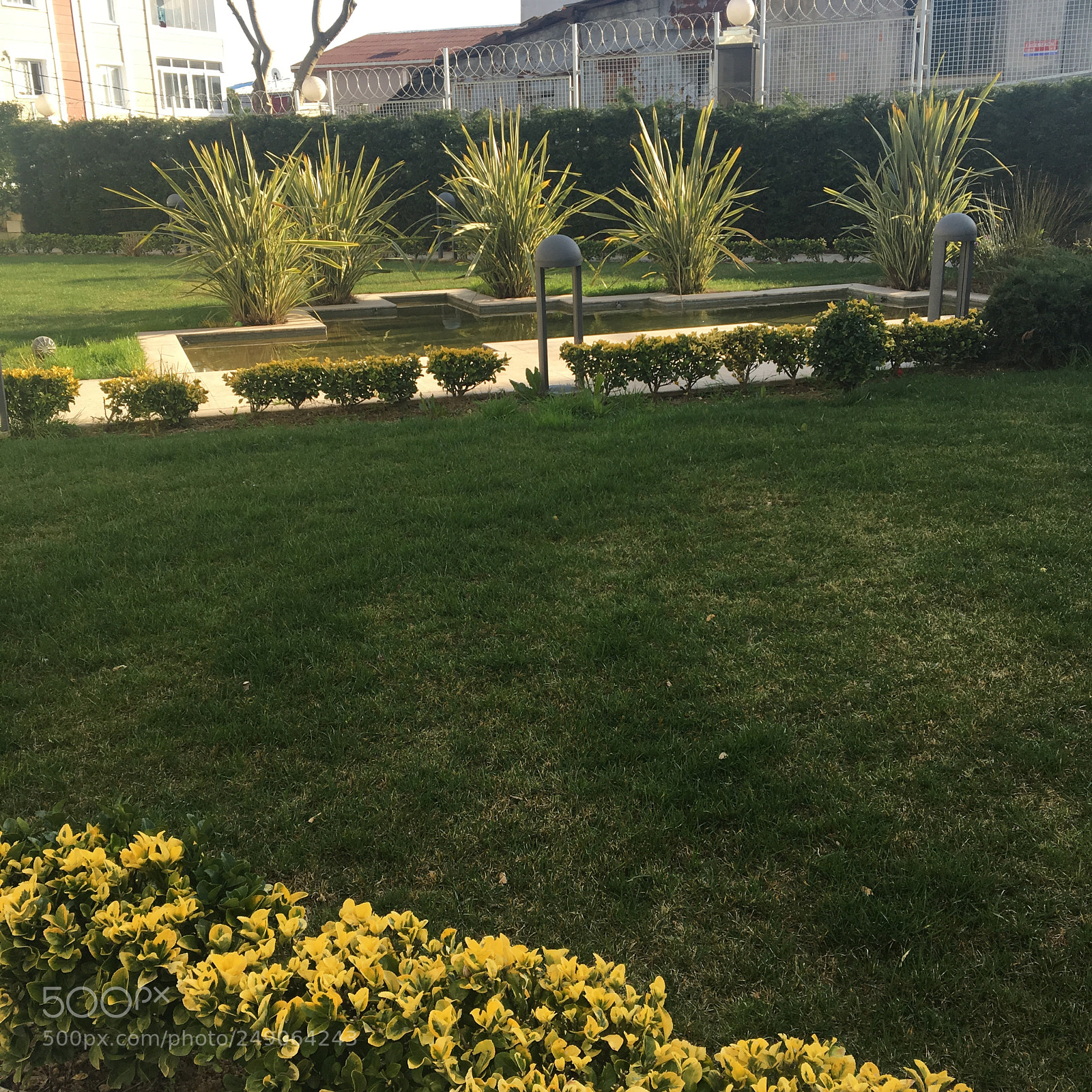 Apple iPhone 6s sample photo. Garden photography