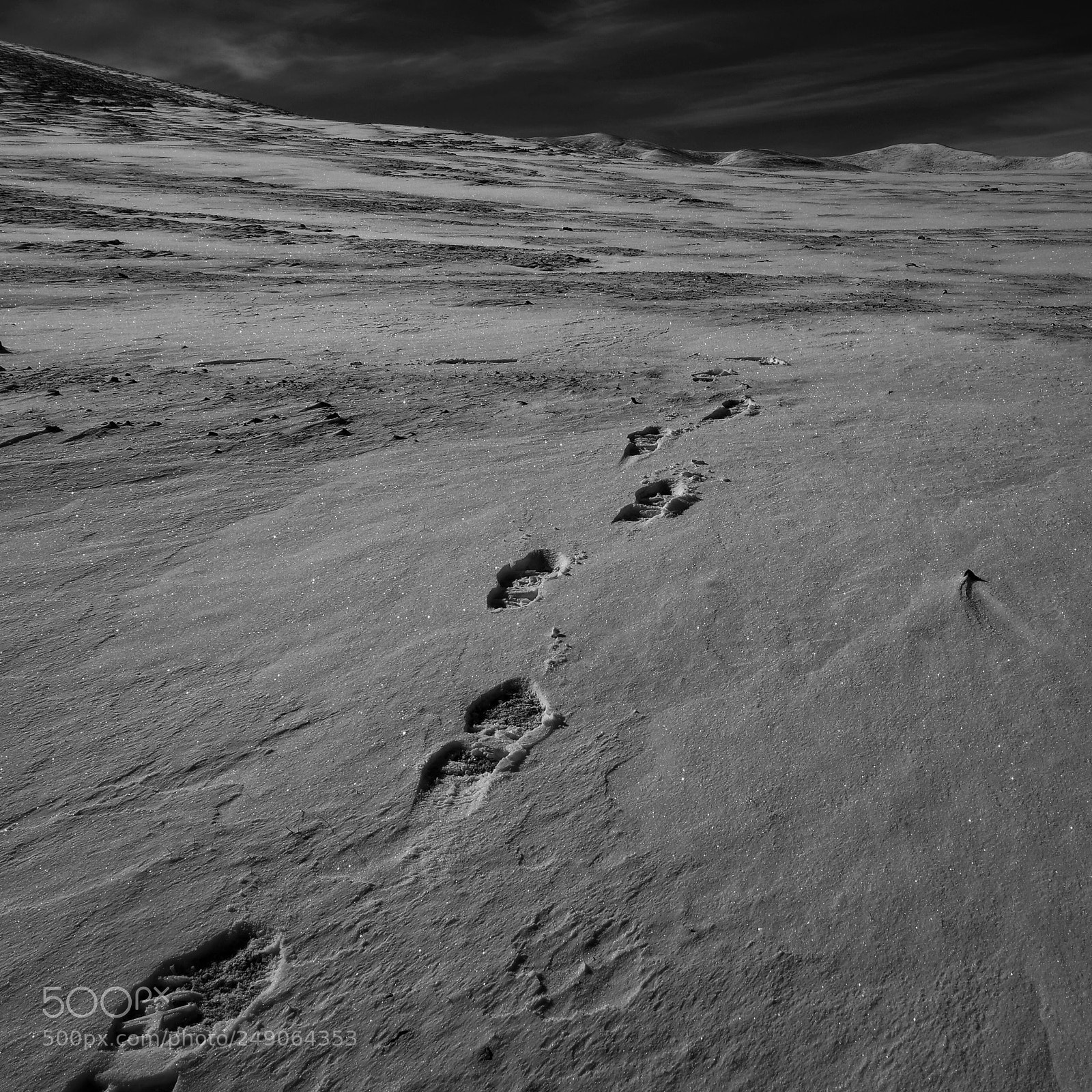 Panasonic Lumix DC-GH5 sample photo. Wilderness photography