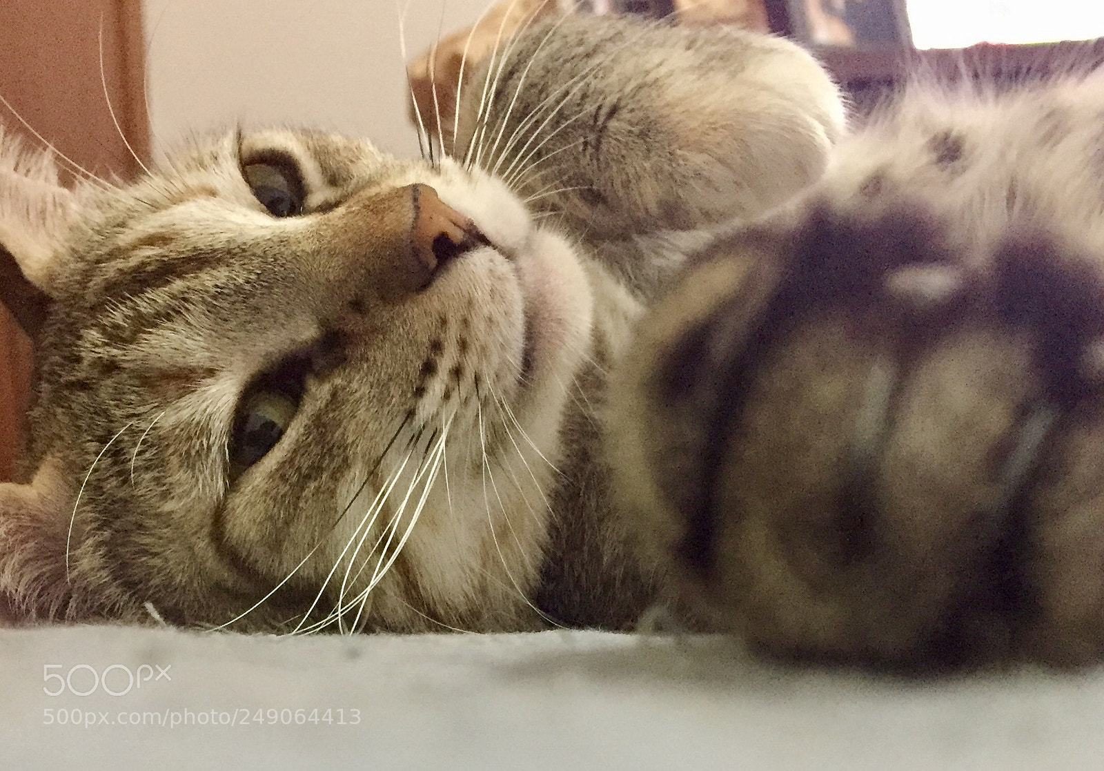 Apple iPhone 6 sample photo. Nina photography