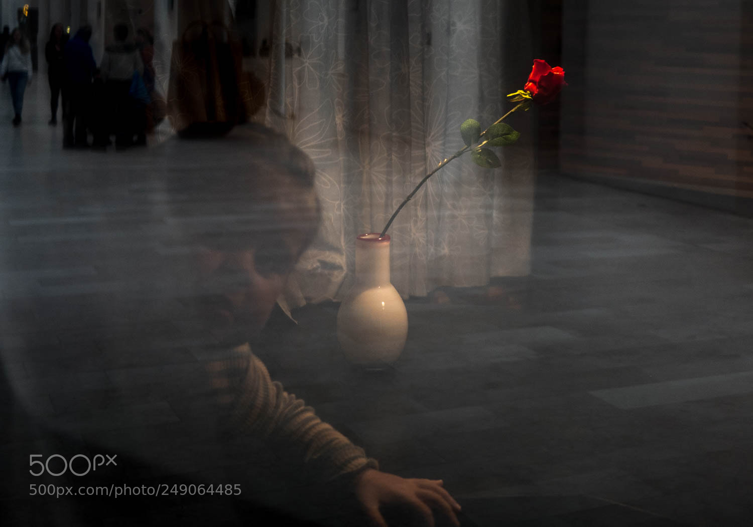Panasonic Lumix DMC-GX85 (Lumix DMC-GX80 / Lumix DMC-GX7 Mark II) sample photo. Rose photography