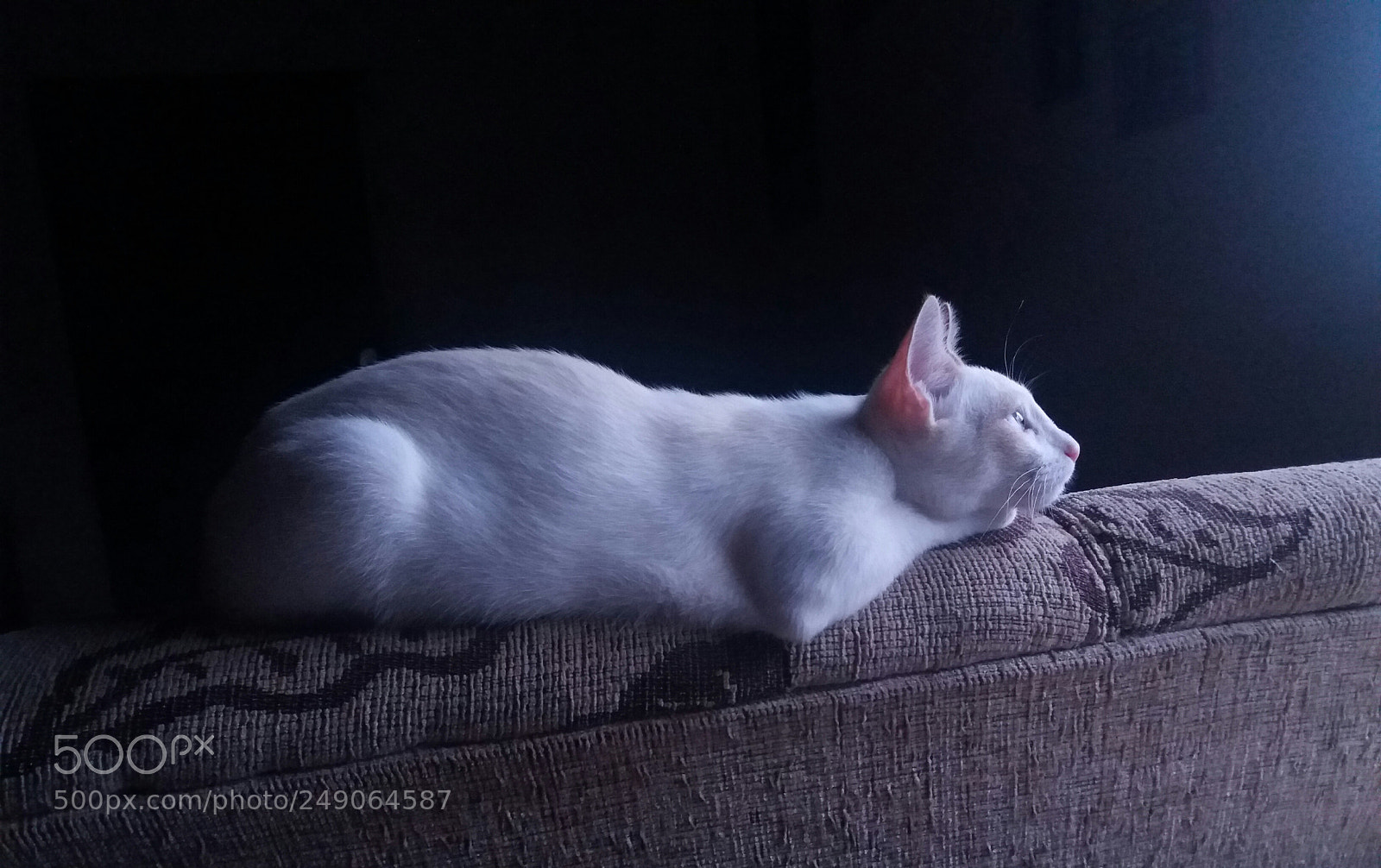 Samsung Galaxy J5 sample photo. Untitled photography