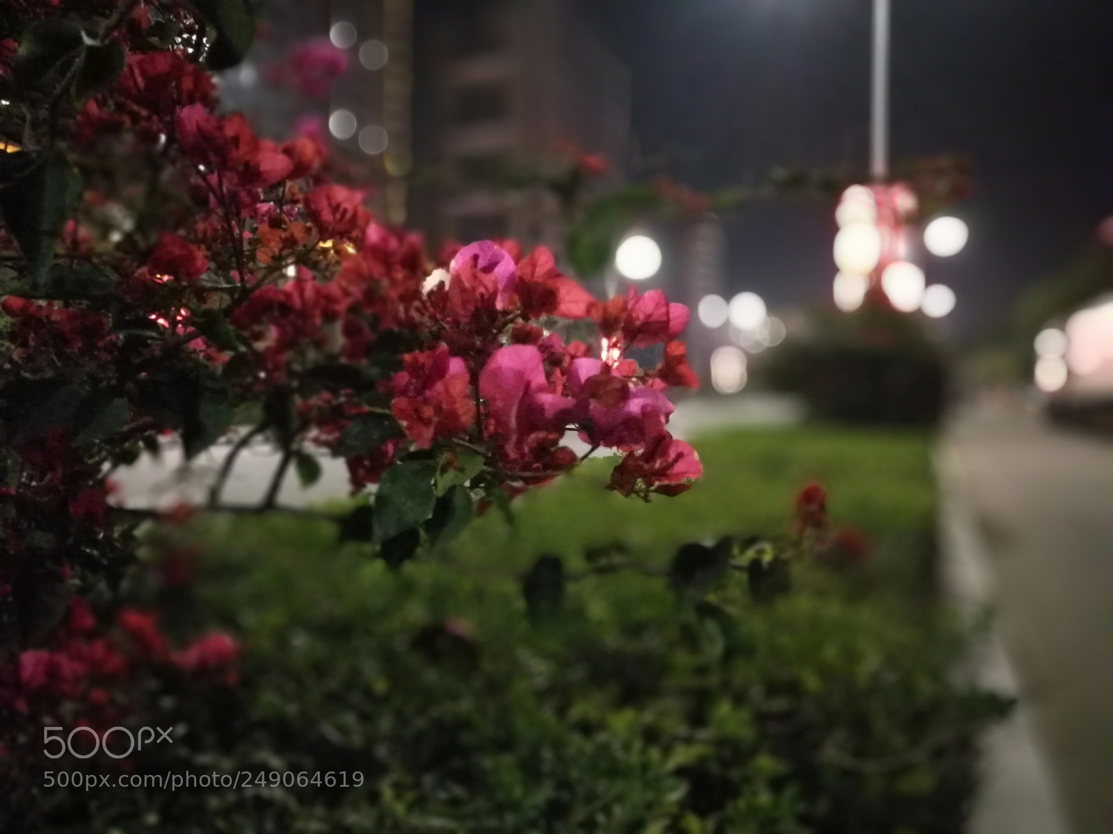 HUAWEI P9 Plus sample photo. 夜色中的美丽 photography