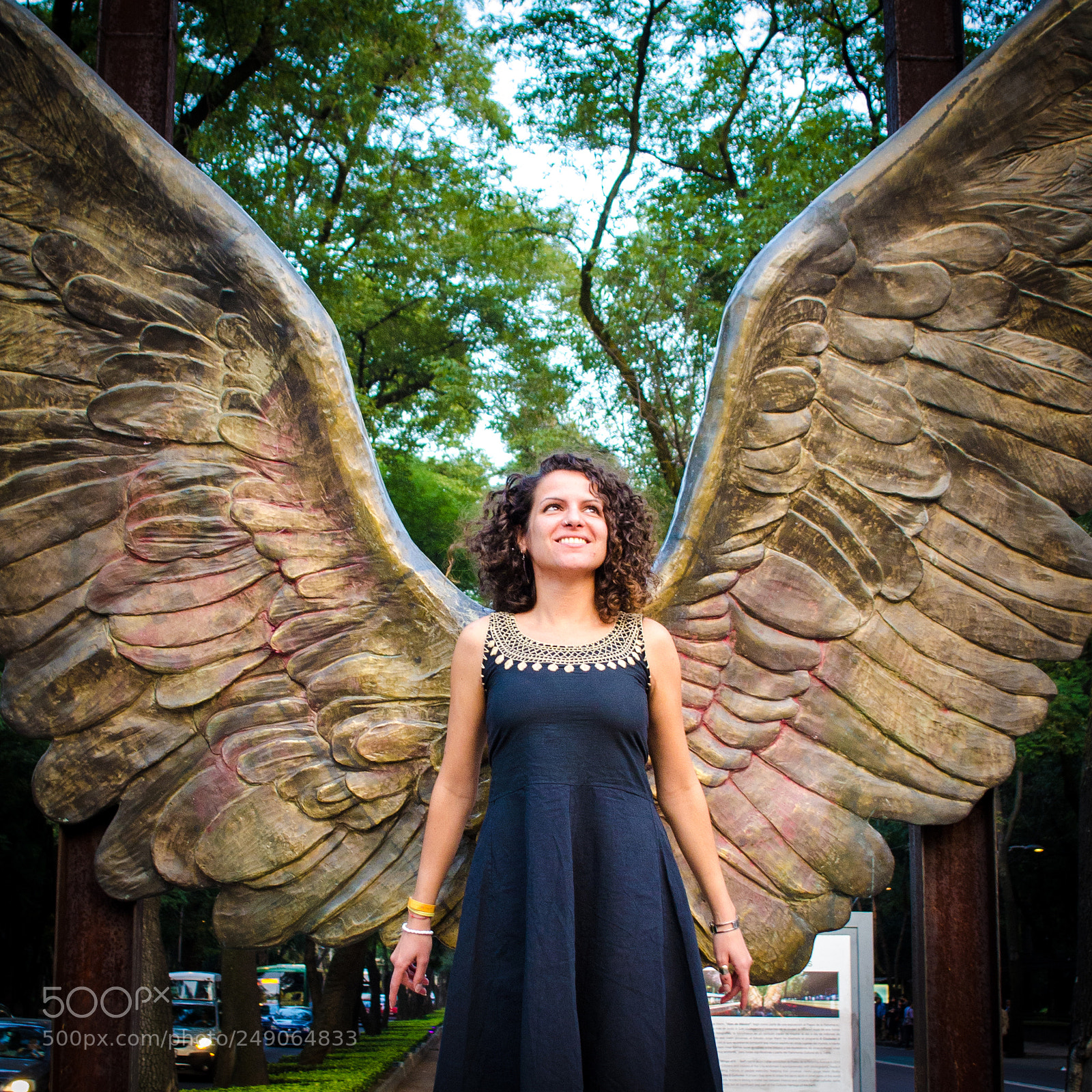 Nikon D5100 sample photo. Wings photography