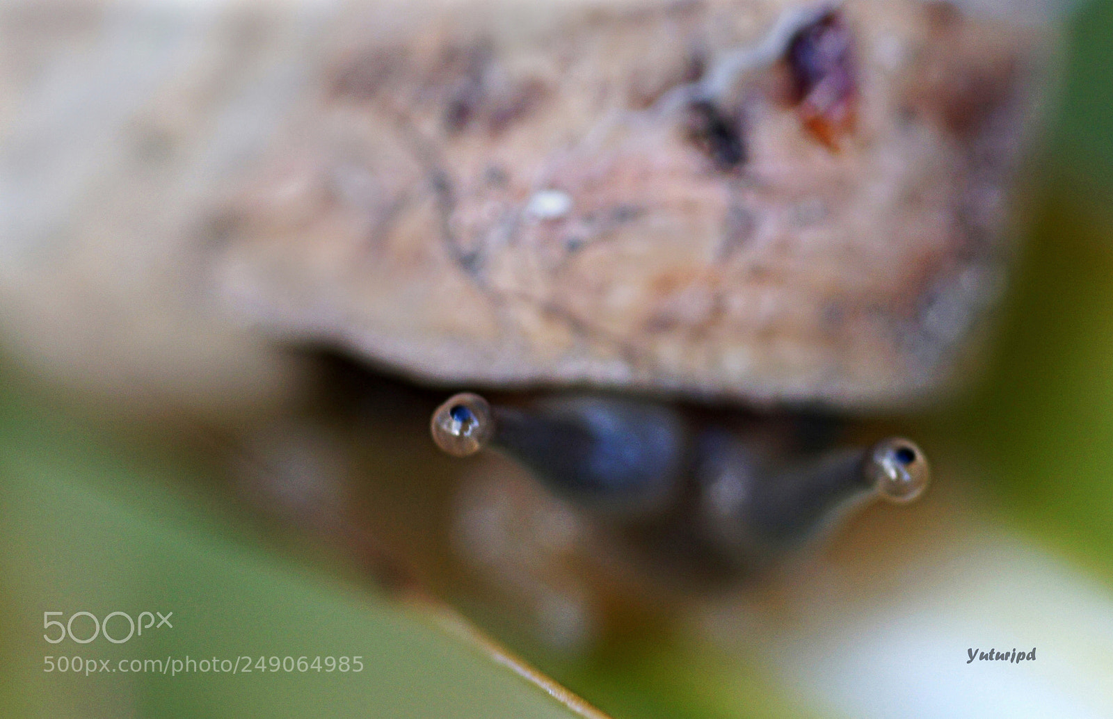 Sony a6000 sample photo. The shyness of the photography