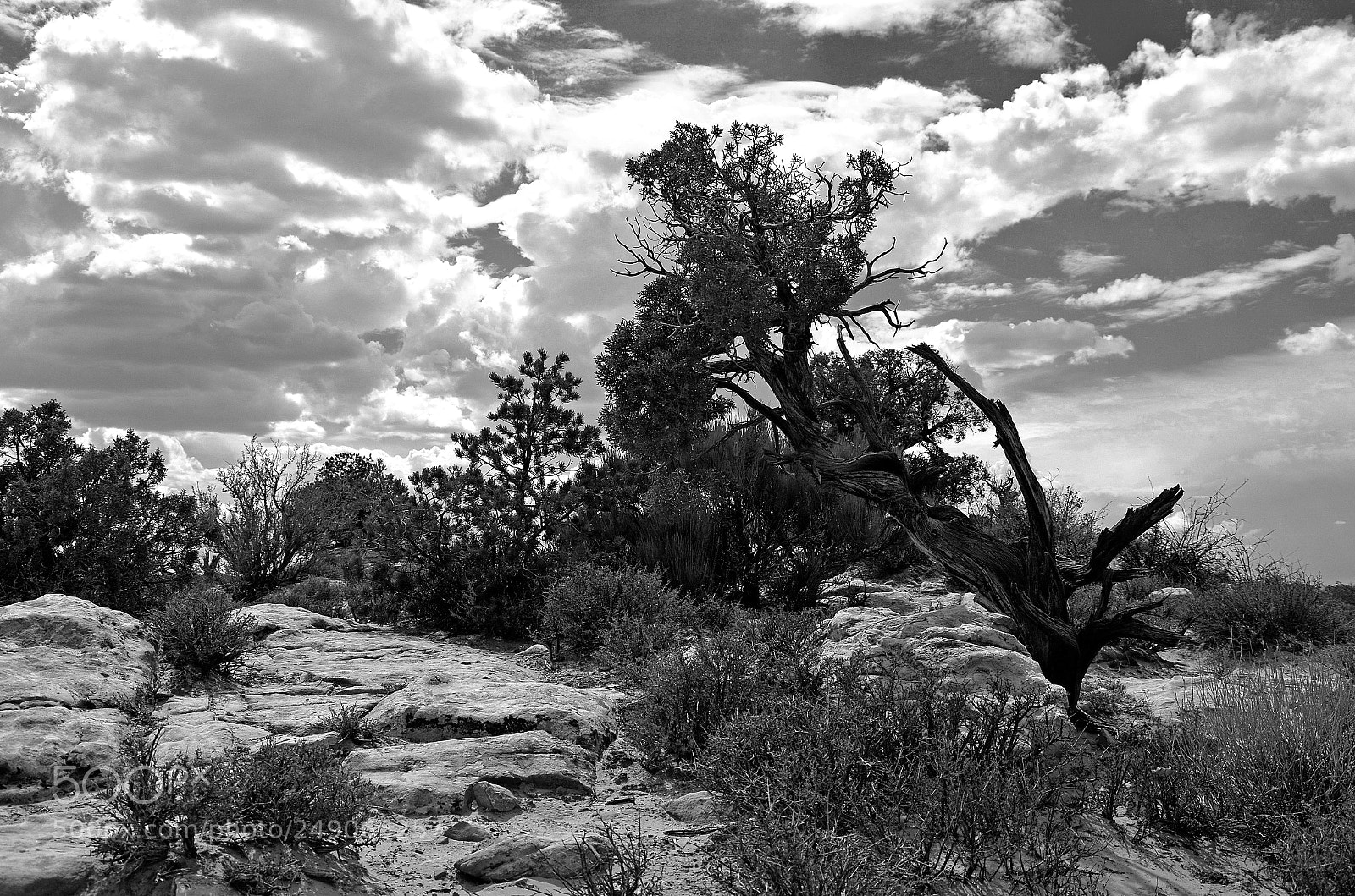 Nikon D7000 sample photo. Landscape and sky b photography