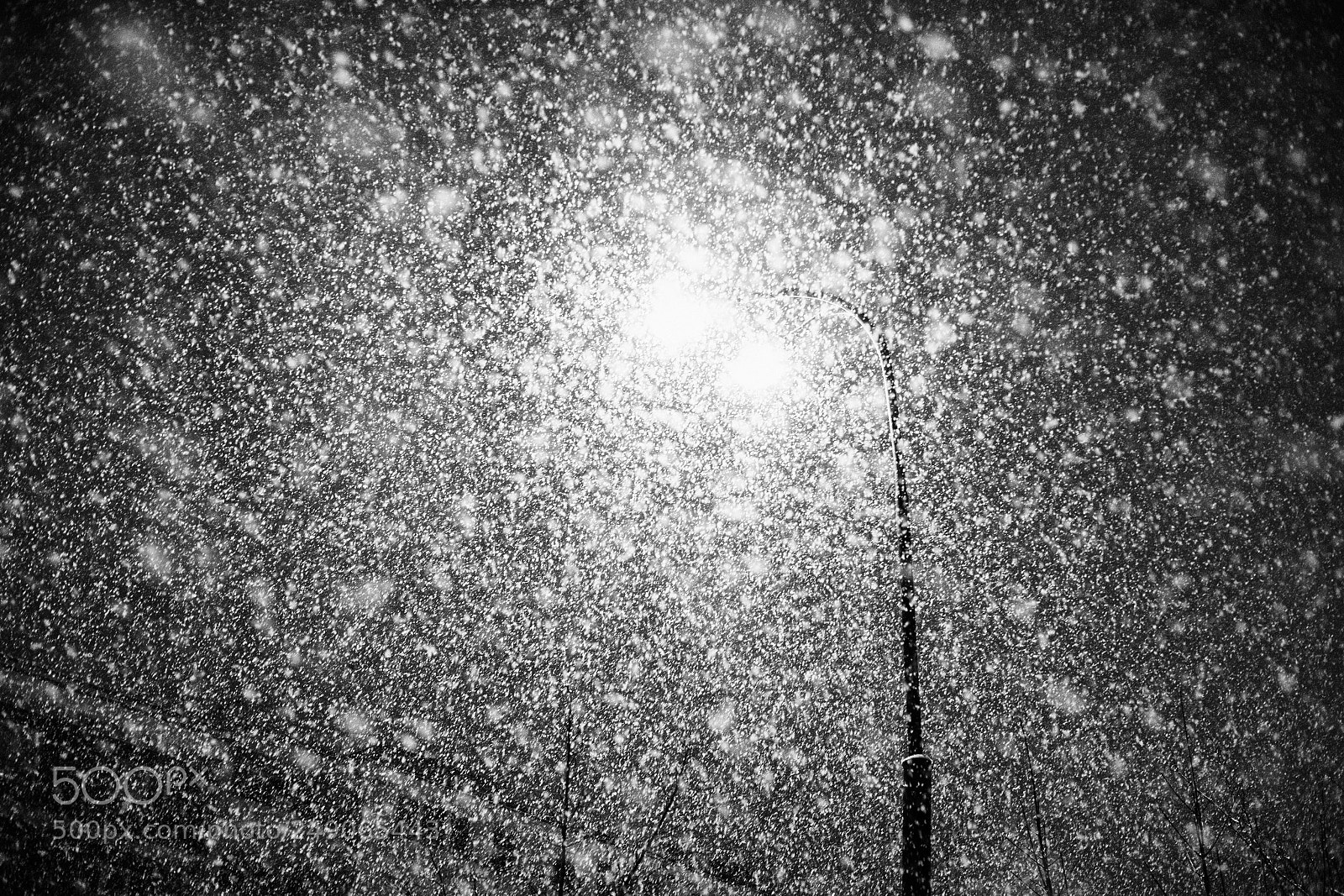 Canon EOS 6D Mark II sample photo. Precipitation 179.365 photography
