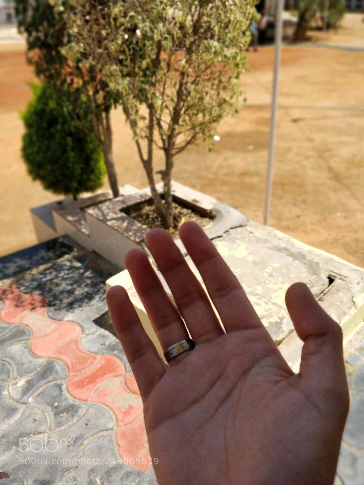 OnePlus 5T sample photo. Hand in sun photography