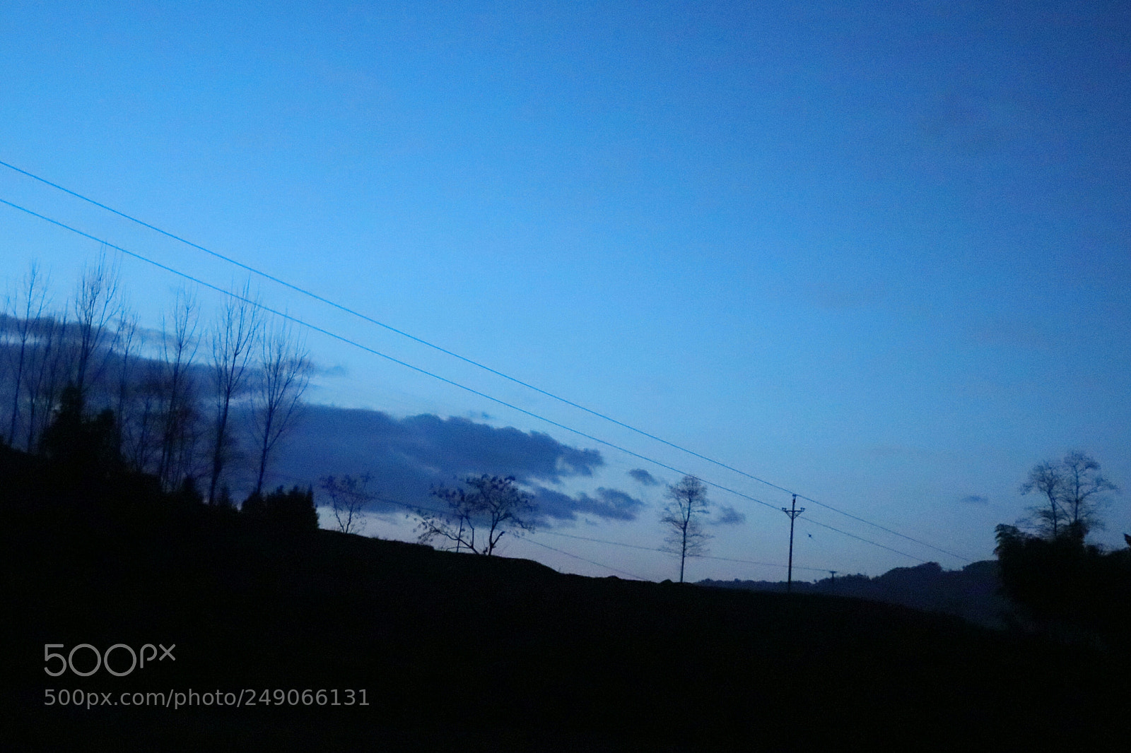 Canon EOS 80D sample photo. Untitled photography