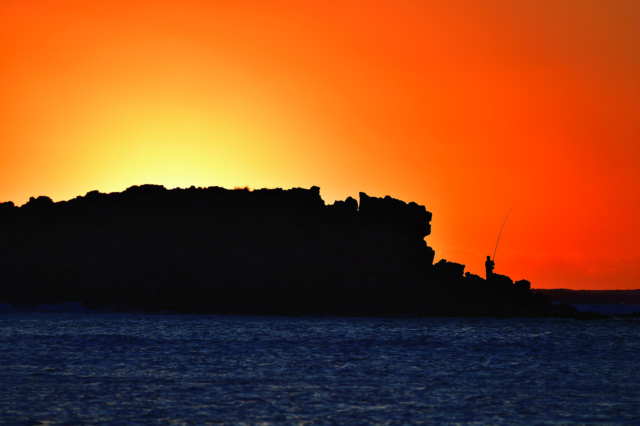 Nikon D5 sample photo. Bright photography
