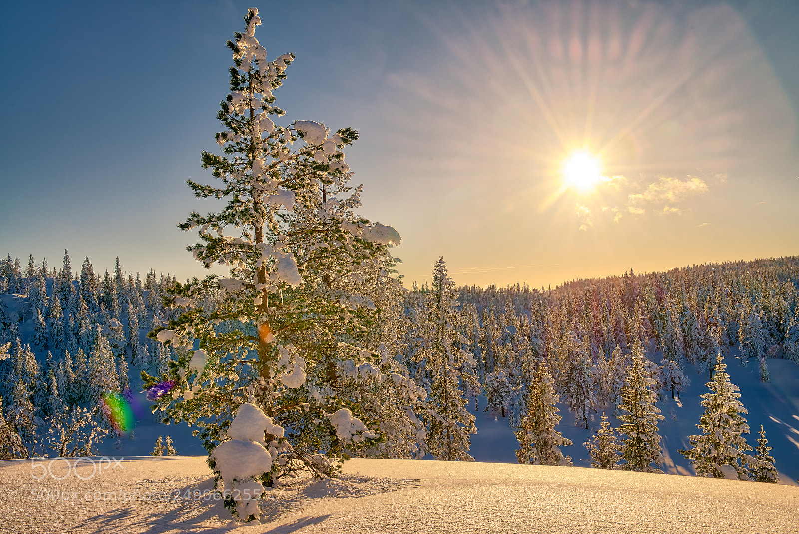 Nikon D800E sample photo. Skrimwintersun photography