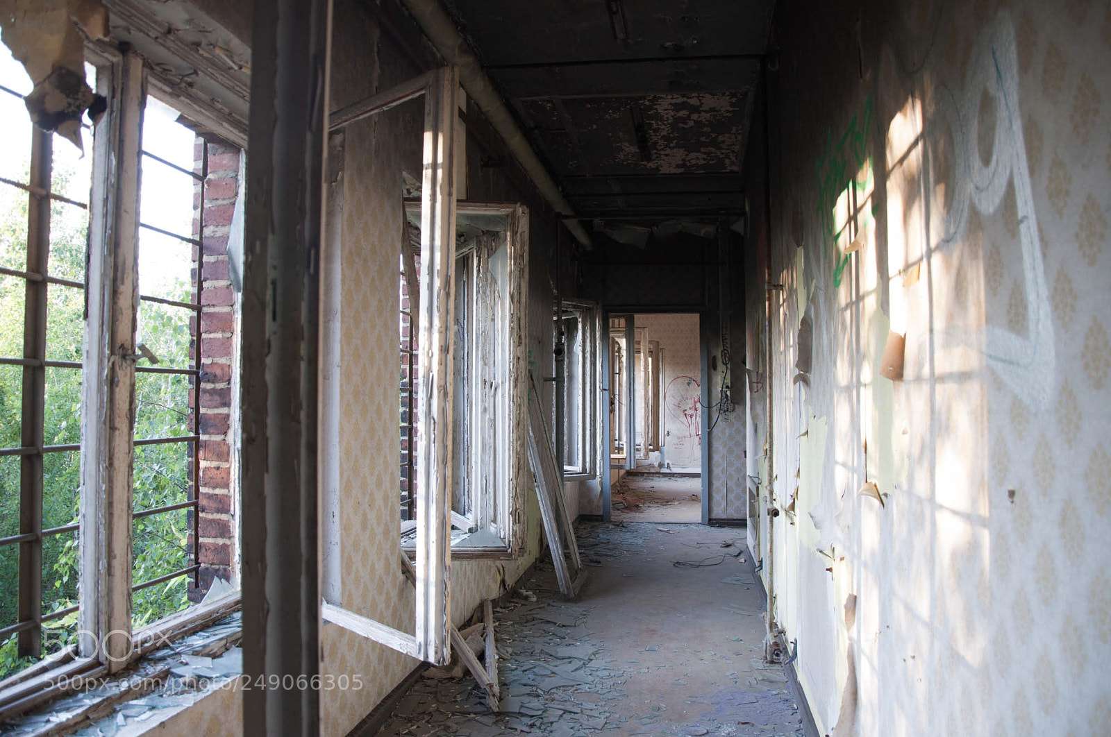 Nikon D90 sample photo. Empty windows photography