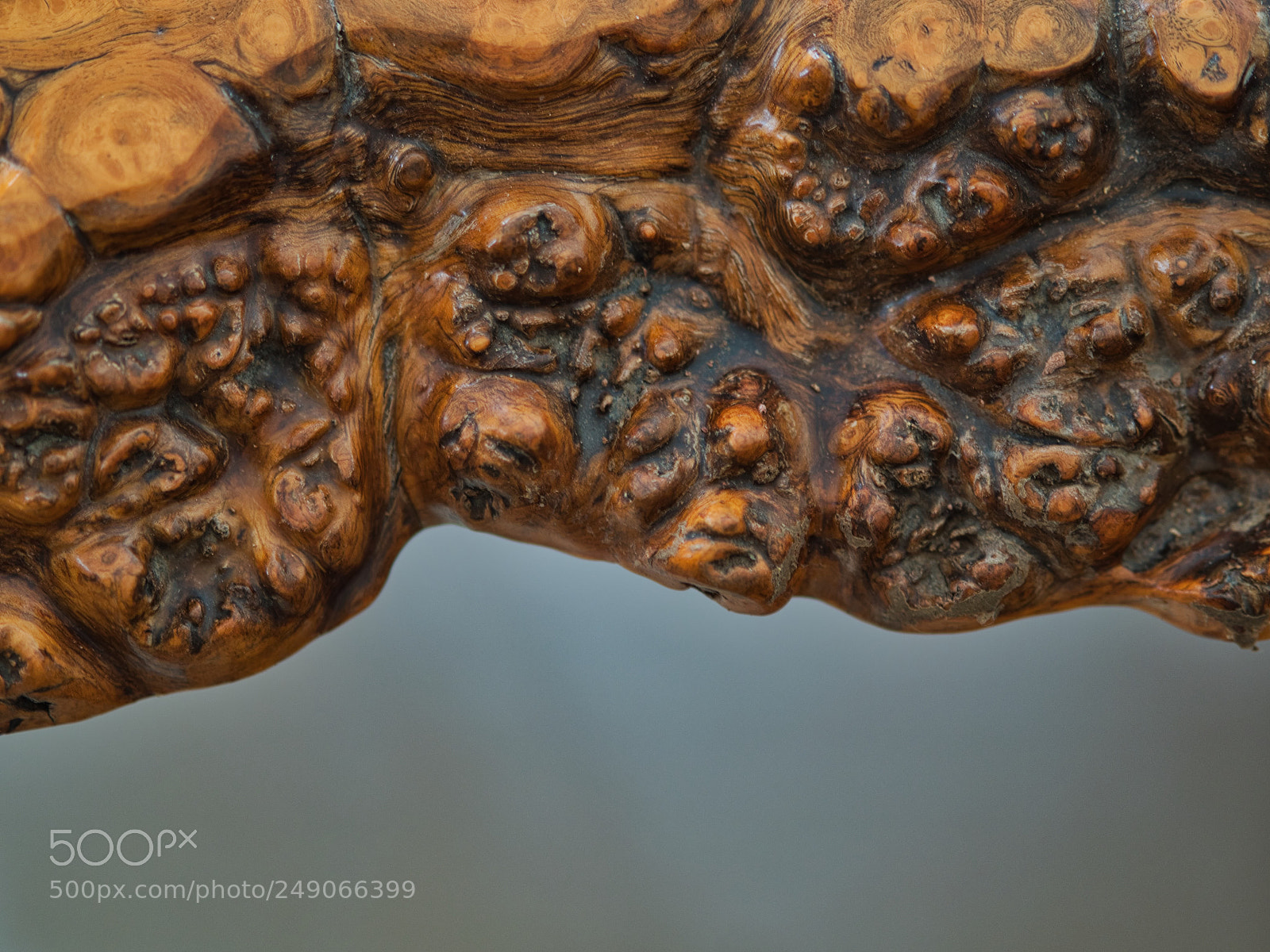 Olympus OM-D E-M1 Mark II sample photo. Wood table pattern texture photography