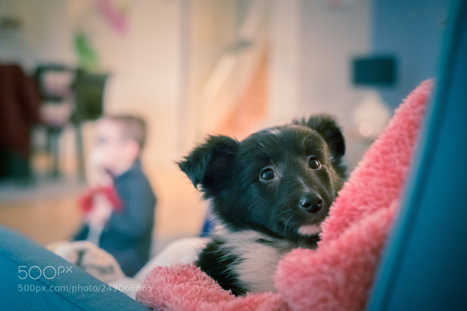 Fujifilm X-T20 sample photo. Onix photography