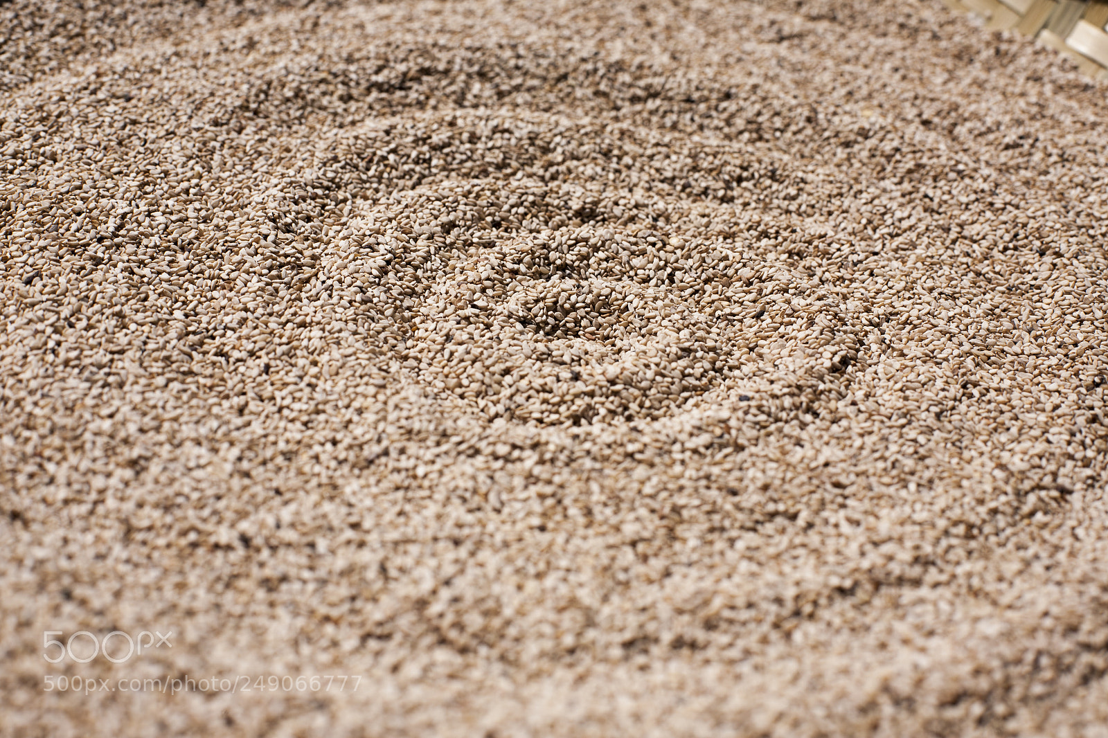Canon EOS 5D sample photo. Abstract photography