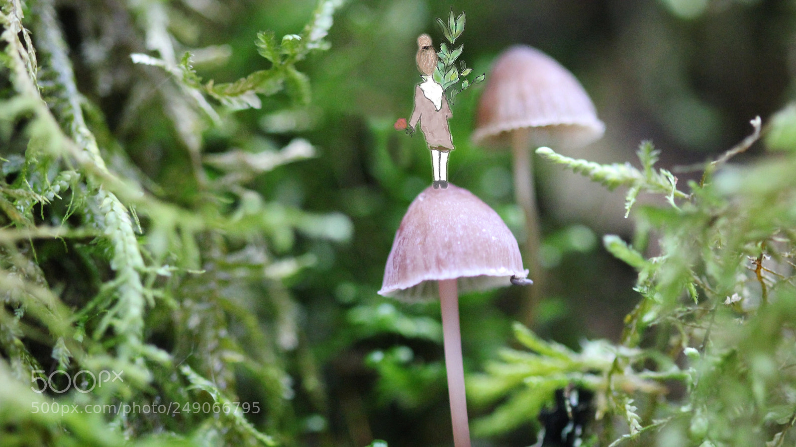 Canon EOS 550D (EOS Rebel T2i / EOS Kiss X4) sample photo. Lulittleworld photography
