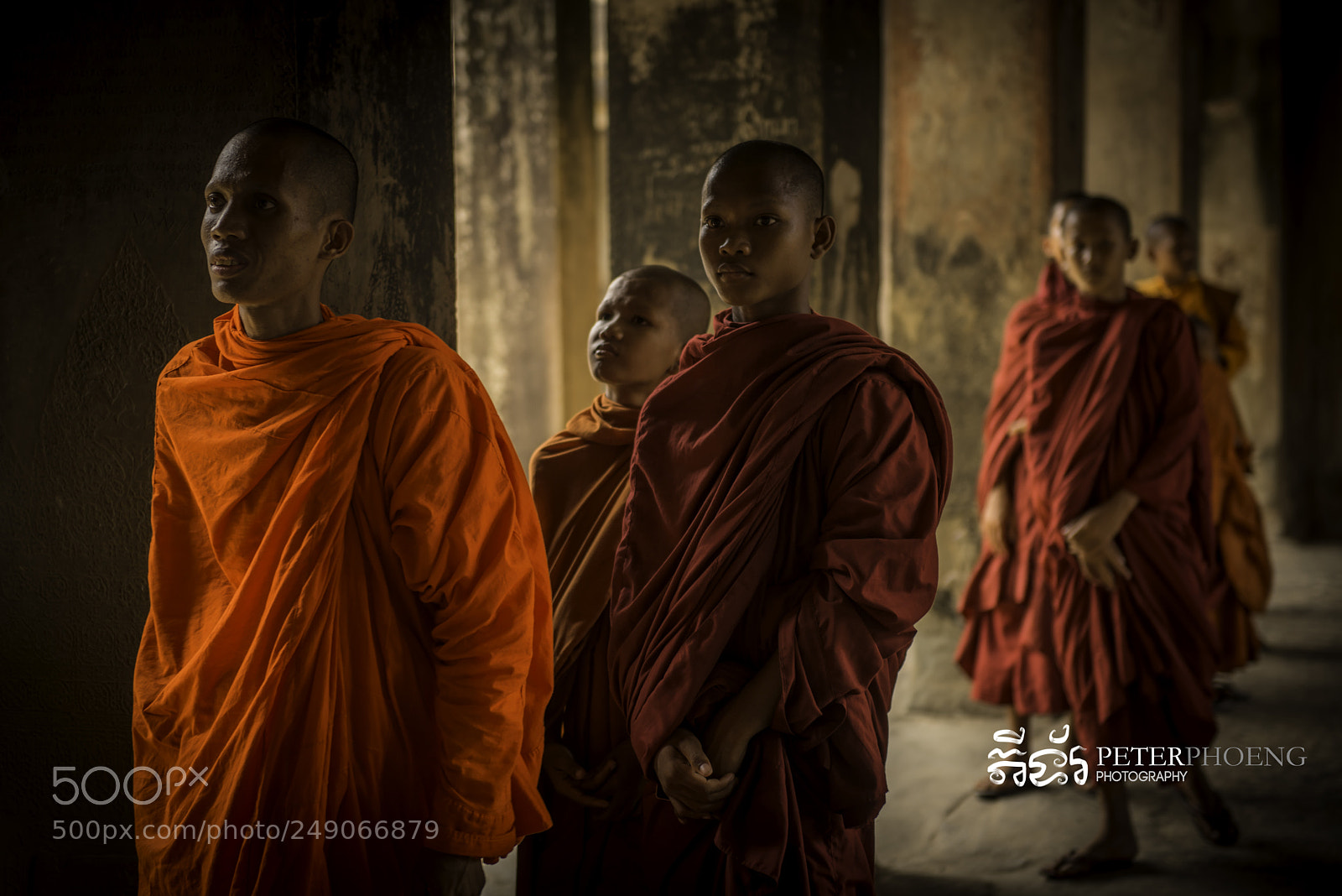 Nikon D800 sample photo. The search photography