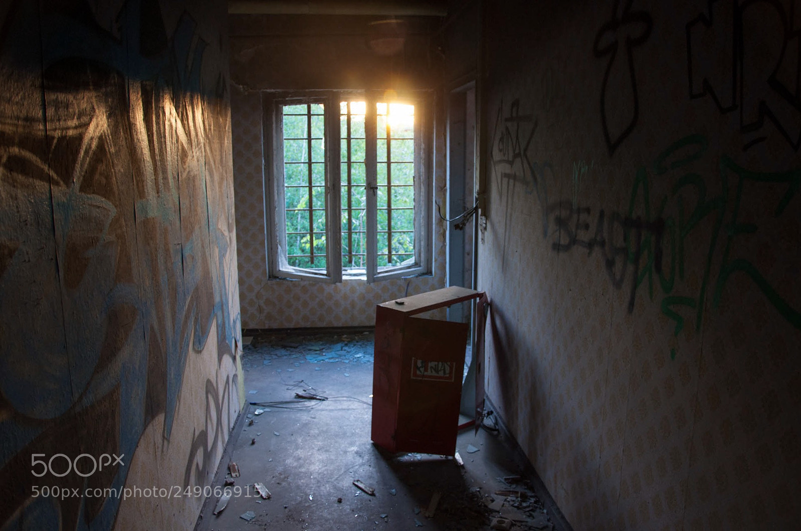 Nikon D90 sample photo. Safety first photography
