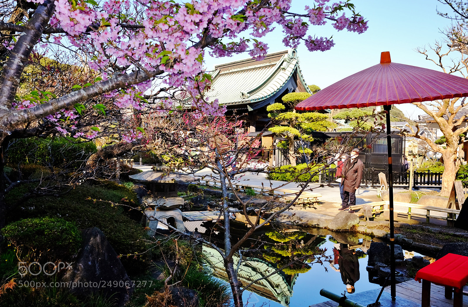 Fujifilm X70 sample photo. Hasedera (temple garden), kamakura photography