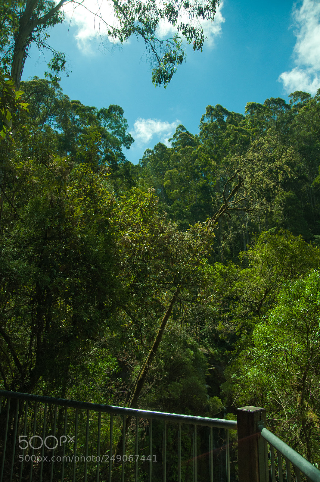 Nikon D90 sample photo. Erskine falls photography