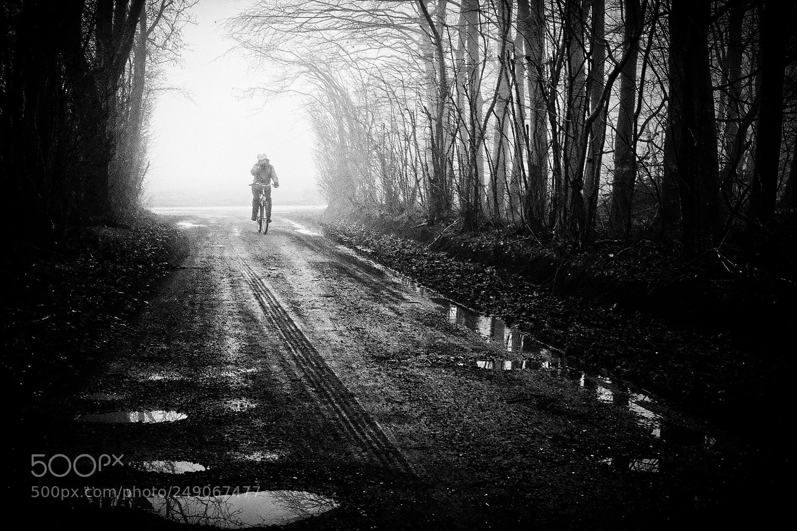 Fujifilm X-T2 sample photo. Cycling photography