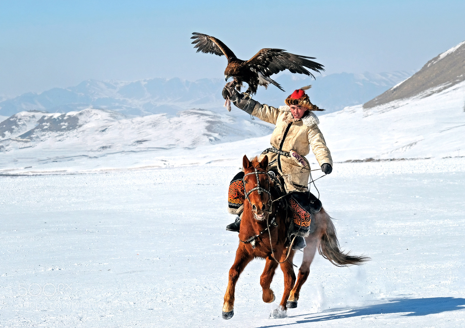 Fujifilm X-T2 sample photo. Young eagle hunter photography