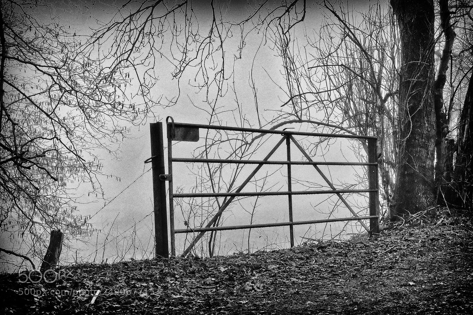 Fujifilm X-T2 sample photo. The gate photography