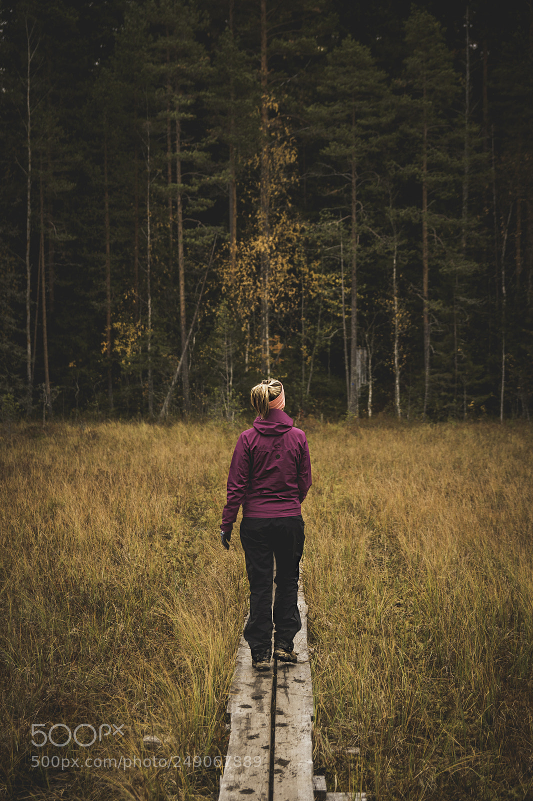 Nikon D5600 sample photo. Beaty of seasons photography