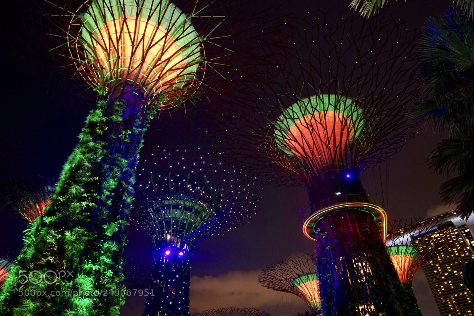 Sony a7 II sample photo. Light photography