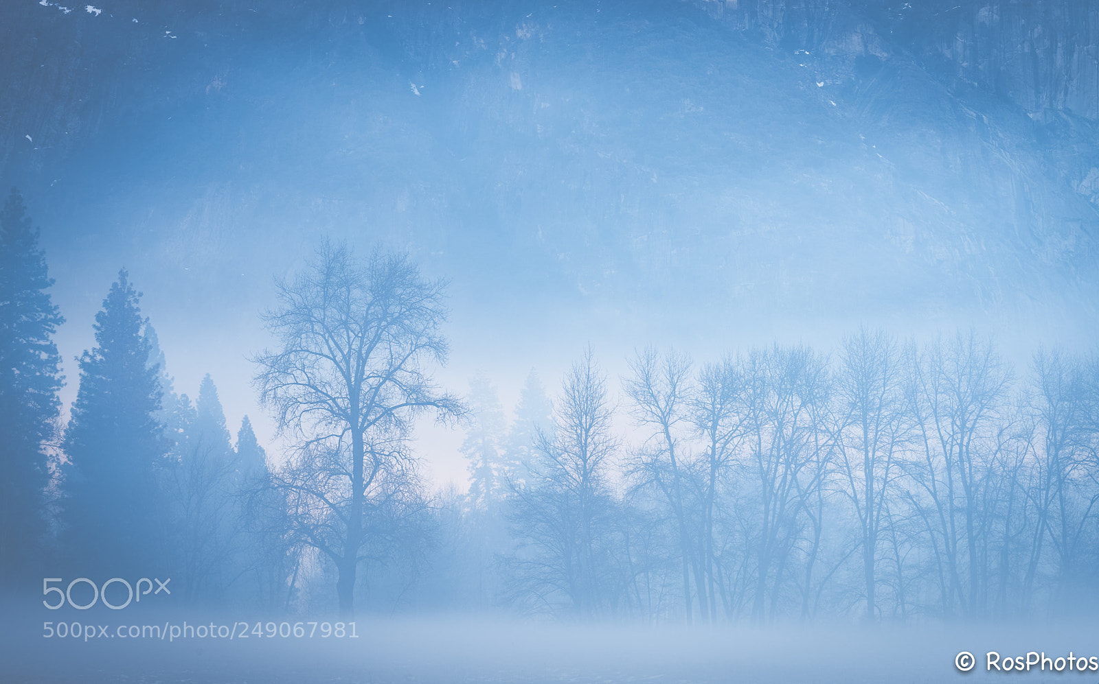 Nikon D810 sample photo. Really cold morning in photography