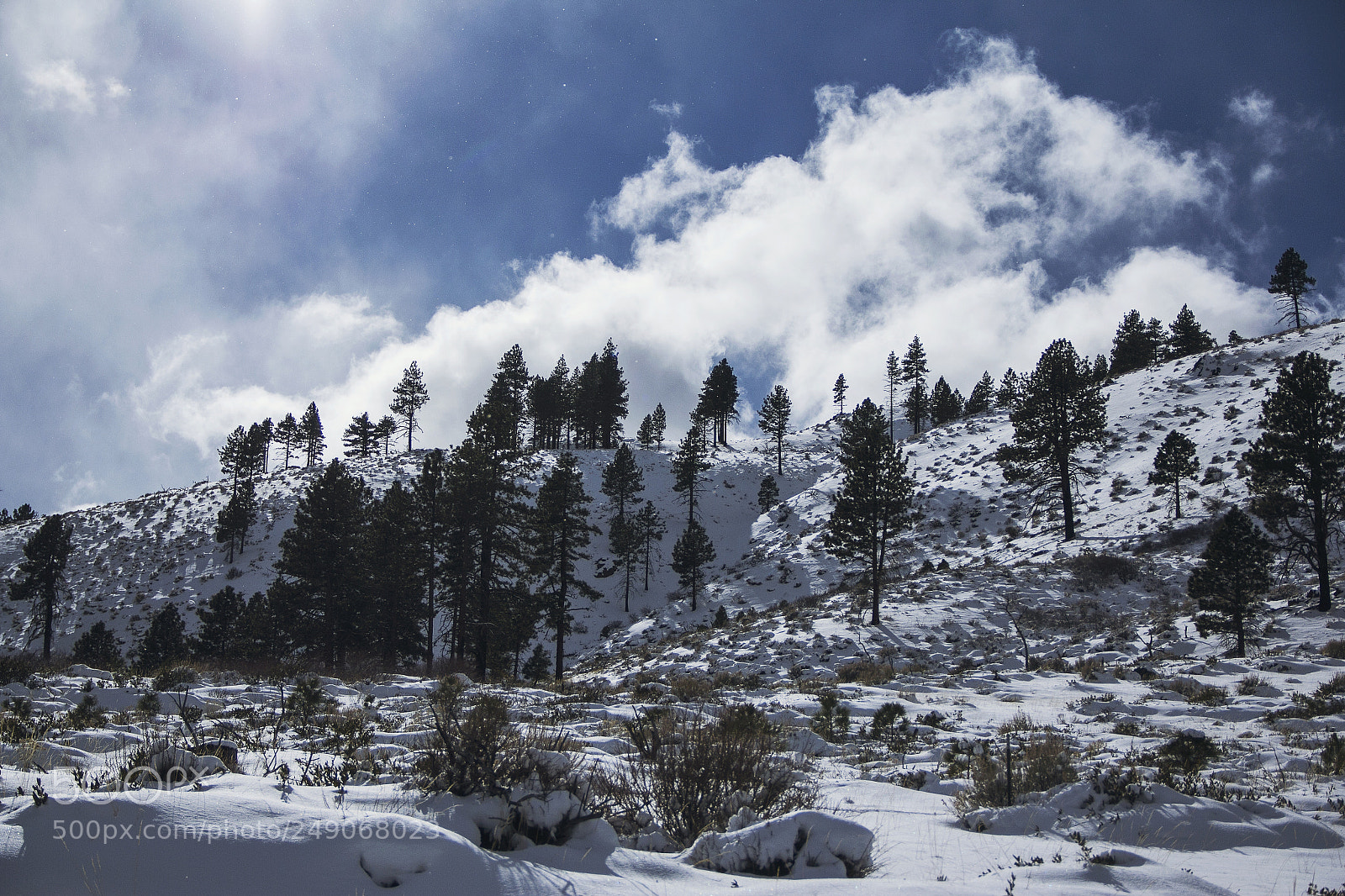 Canon EOS 60D sample photo. King's canyon photography