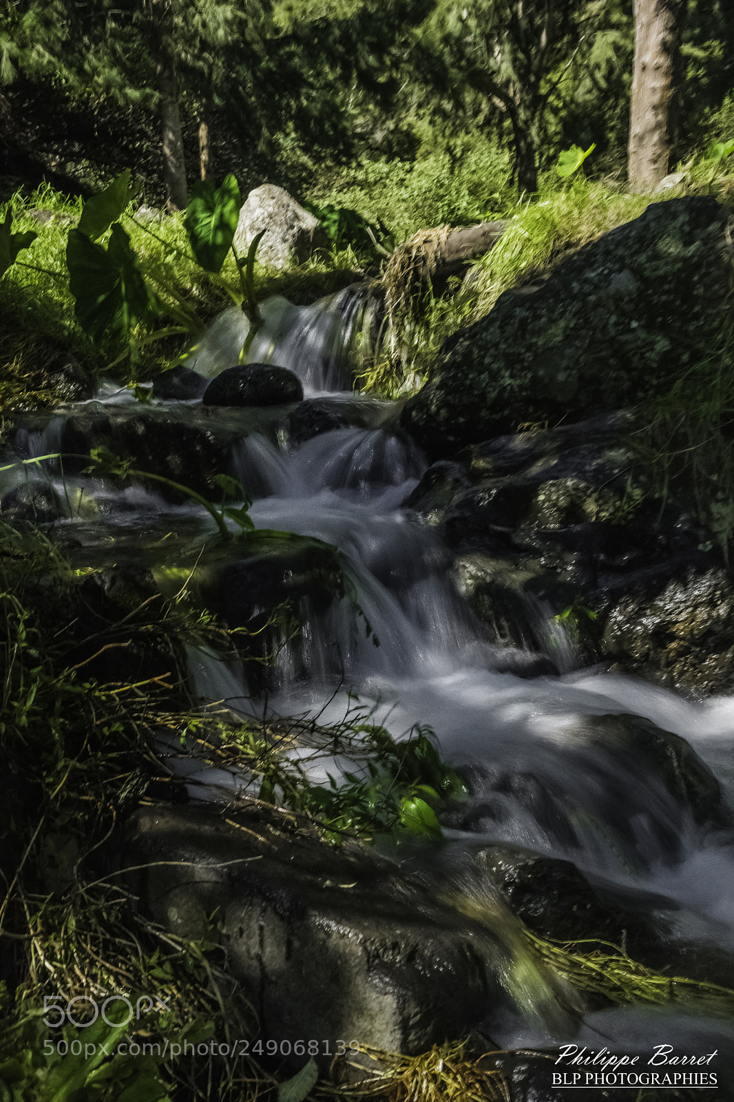 Nikon D7200 sample photo. Cours d'eau à marla photography