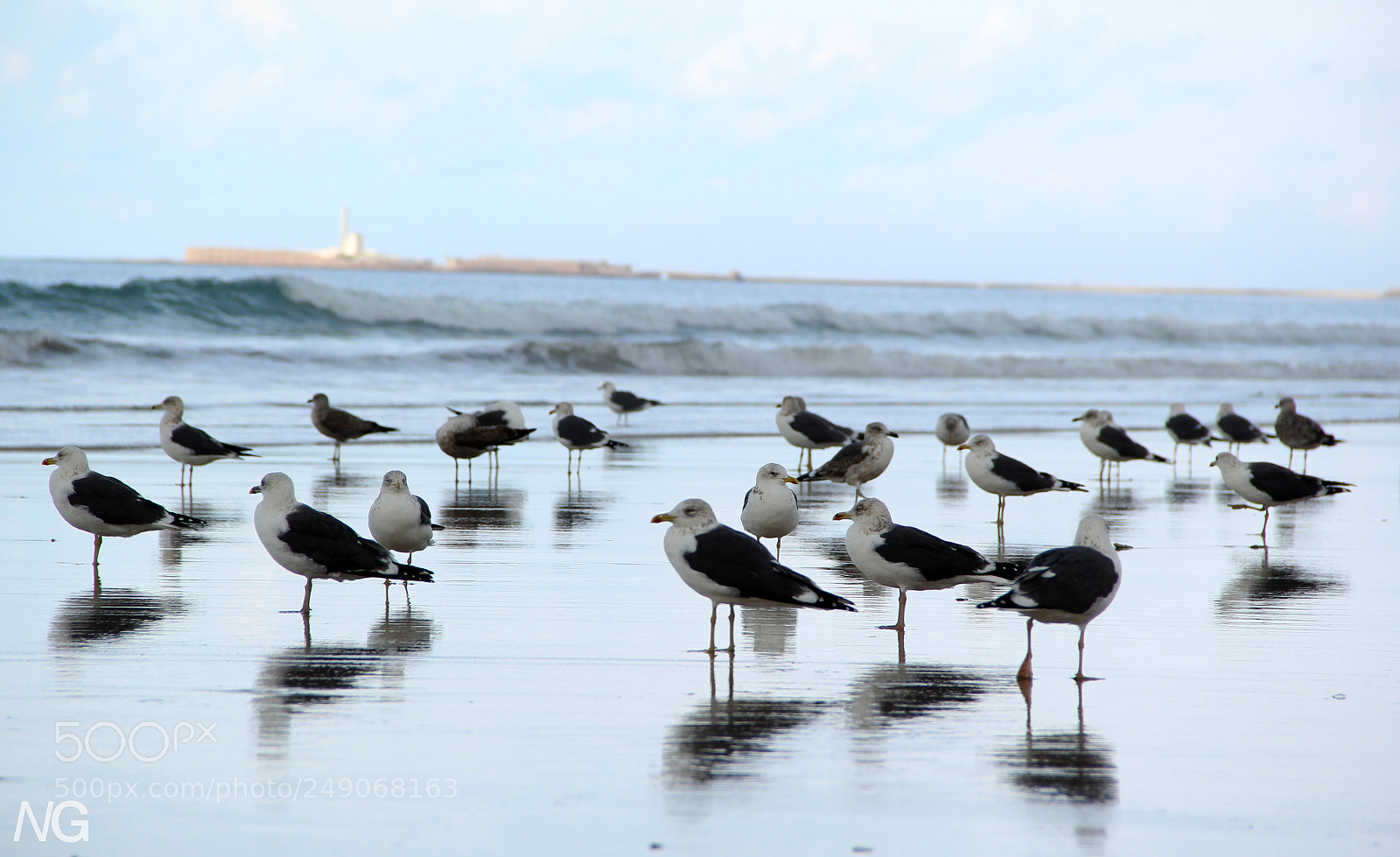 Canon EOS 60D sample photo. Gadestania photography